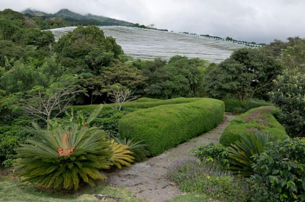 Coffee Garden Ranch Costa Rica Apartment Concepcion  Bagian luar foto