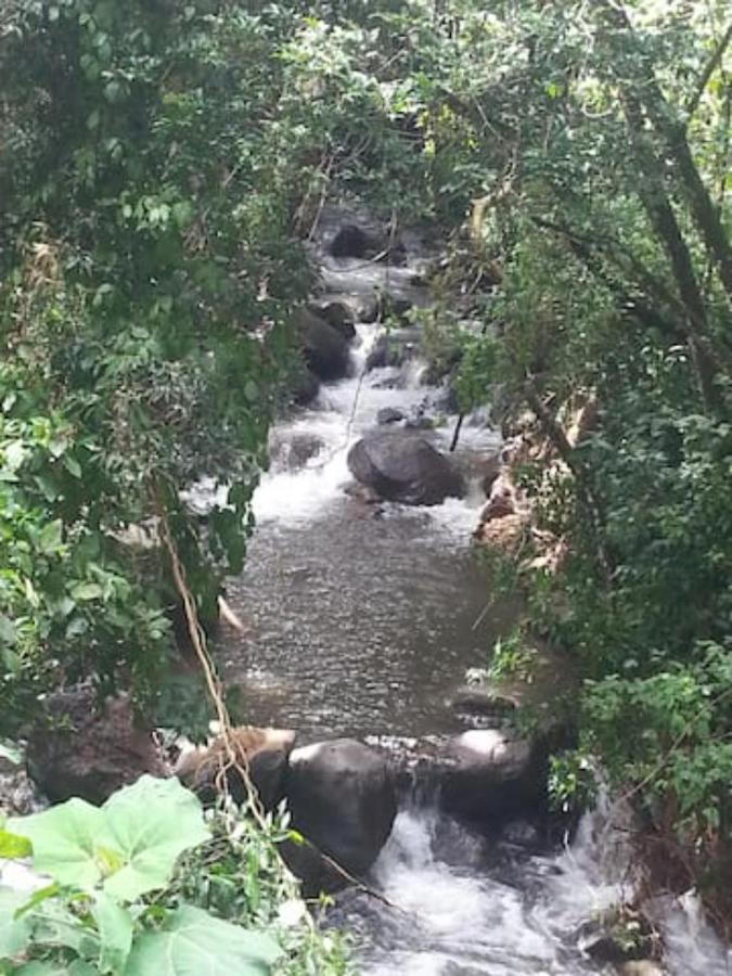 Coffee Garden Ranch Costa Rica Apartment Concepcion  Bagian luar foto