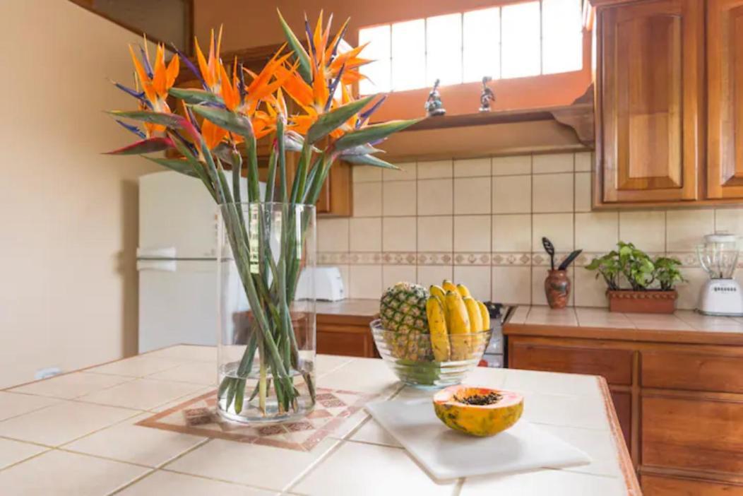 Coffee Garden Ranch Costa Rica Apartment Concepcion  Bagian luar foto
