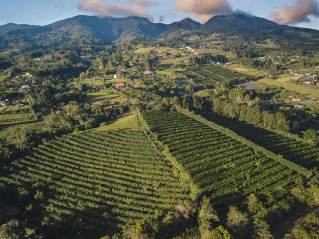 Coffee Garden Ranch Costa Rica Apartment Concepcion  Bagian luar foto