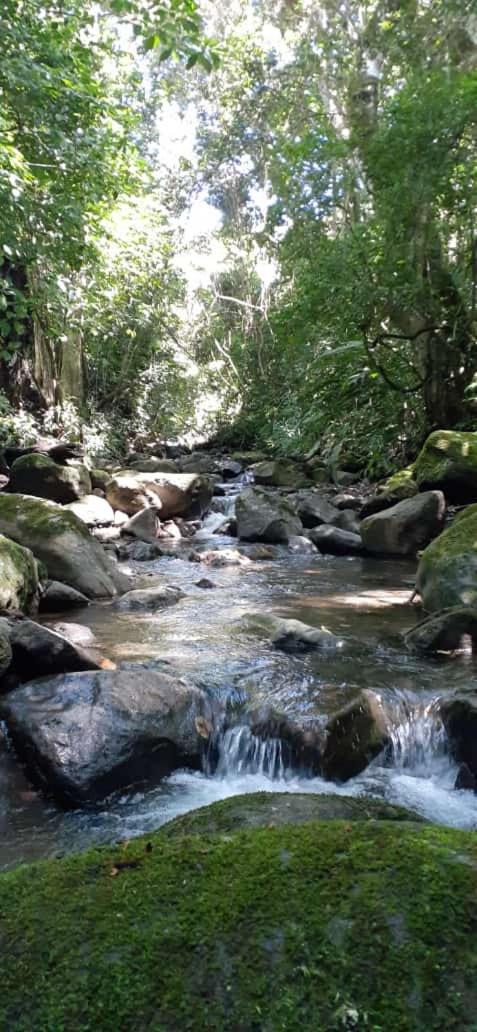 Coffee Garden Ranch Costa Rica Apartment Concepcion  Bagian luar foto