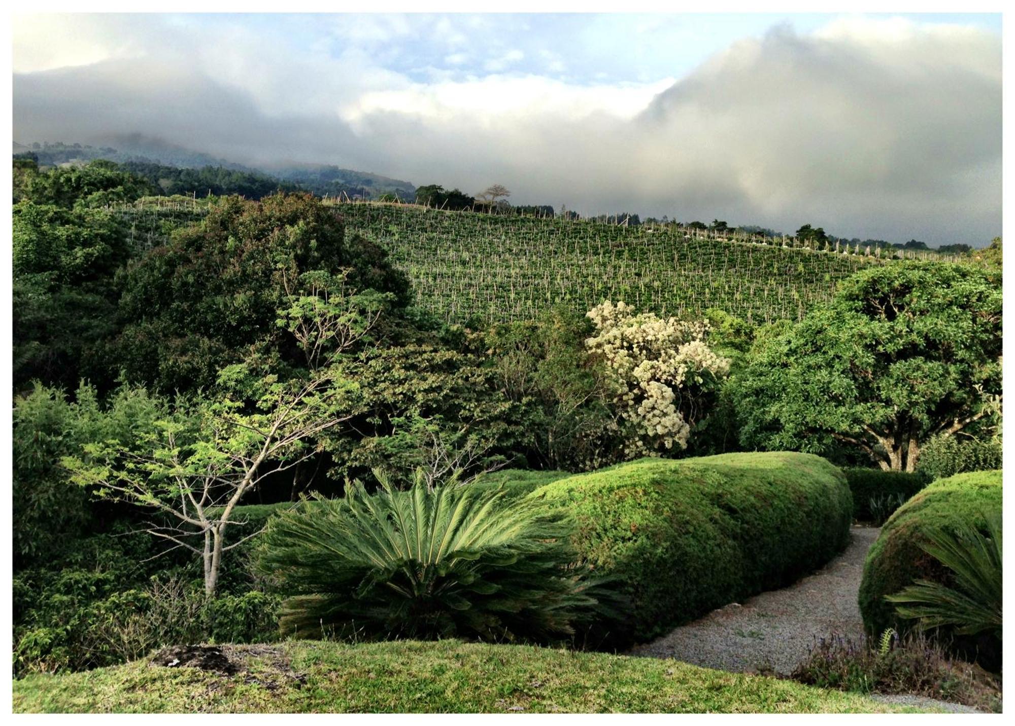 Coffee Garden Ranch Costa Rica Apartment Concepcion  Bagian luar foto